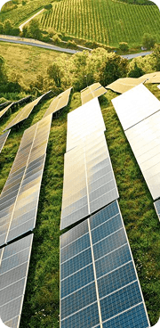 Field Panels